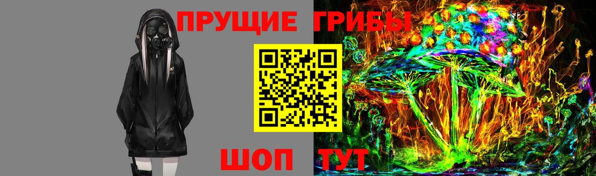 Галлюциногенные грибы GOLDEN TEACHER Гусь-Хрустальный